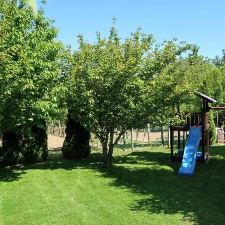 Apartment- 62 דירה